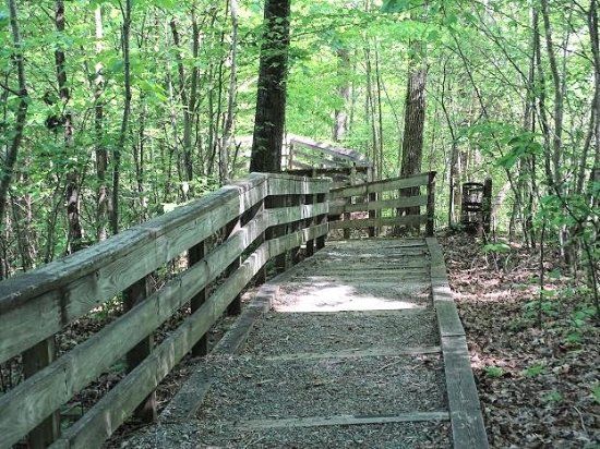 Hemlock Bluffs Nature Preserve